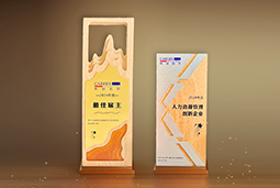 BG大游集团国际一举斩获“2024年度中国区最佳雇主”等多项大奖